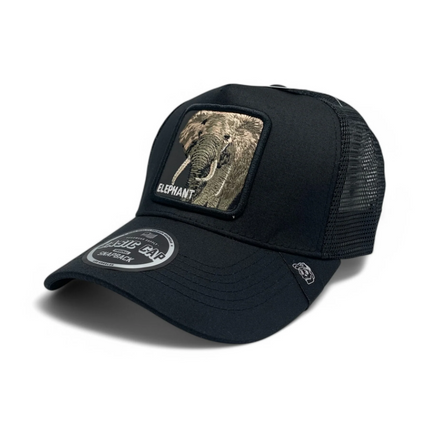 Cap
