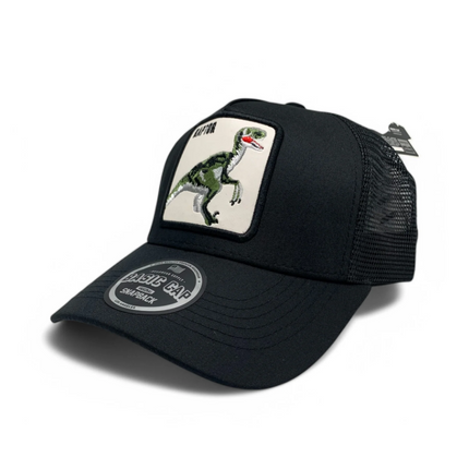 Cap