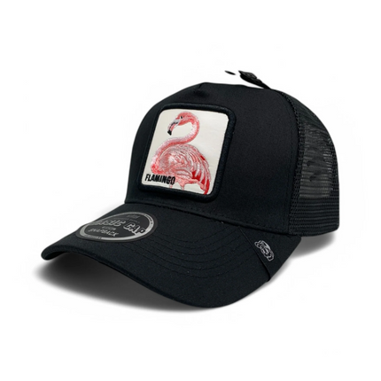 Cap