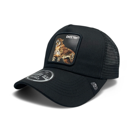Cap